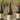 Limited Edition Chardonnay Bottle